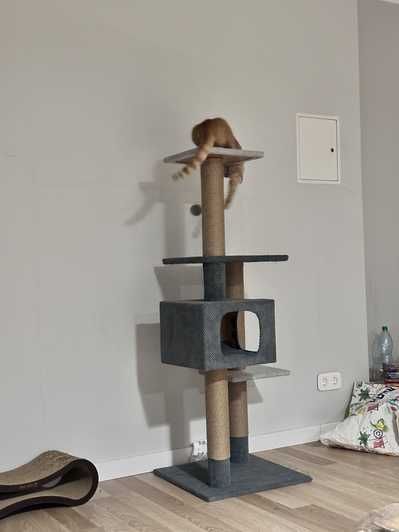 Домик когтеточка Игровой комплекс для кота дряпка кігтеточка будиночок