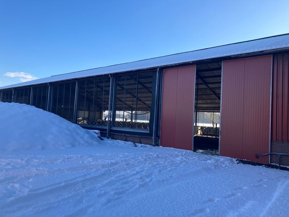 Obora budynek inwentarski 150szt ruszta konstrukcja stalowa  20x67