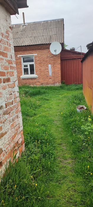 Продам половину будинку в Тетерівці .