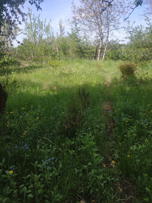 Продам будинок в с. Рибаче (Петрик)