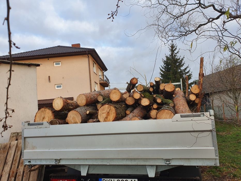 Drzewo drewno opałowe Sosnowe sosna