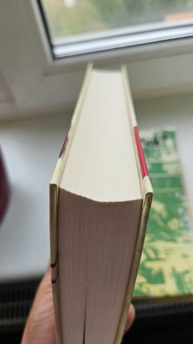 Книга Гюдрун Скреттінг " Три чоловіки для Вільми"