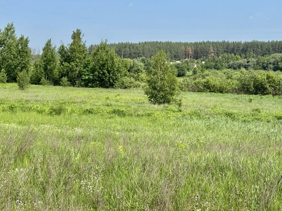 Продам 82сотки землі !!!  с.Мироцьке