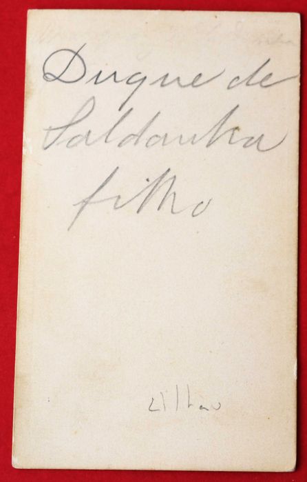 2º Duque de Saldanha, João Carlos de Saldanha Oliveira Daun