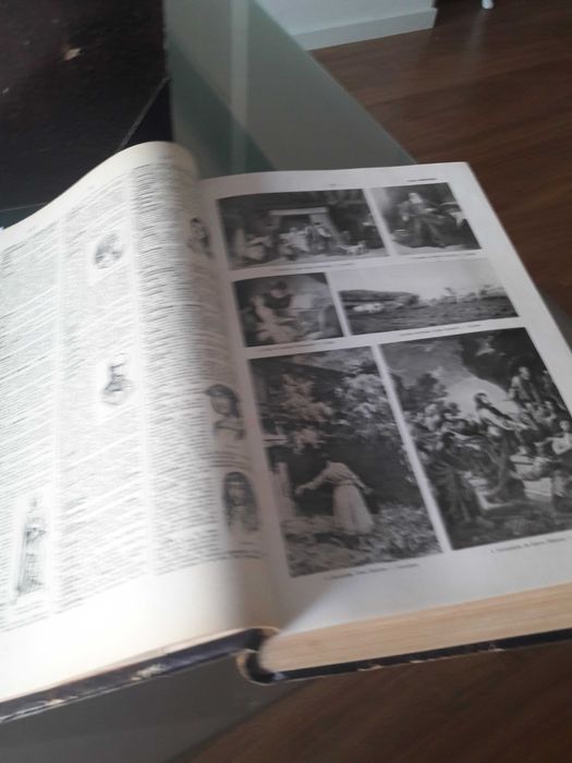 Livros antigos dicionários  da LELLO