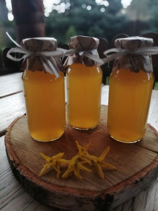 Syrop z kwiatów forsycji