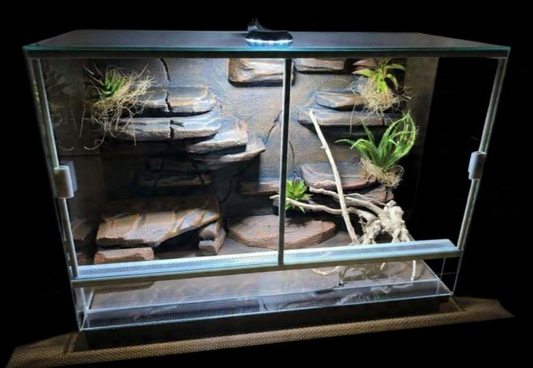 Terarium Diversa  60x30x40 h pełen wystrój + lampa LED