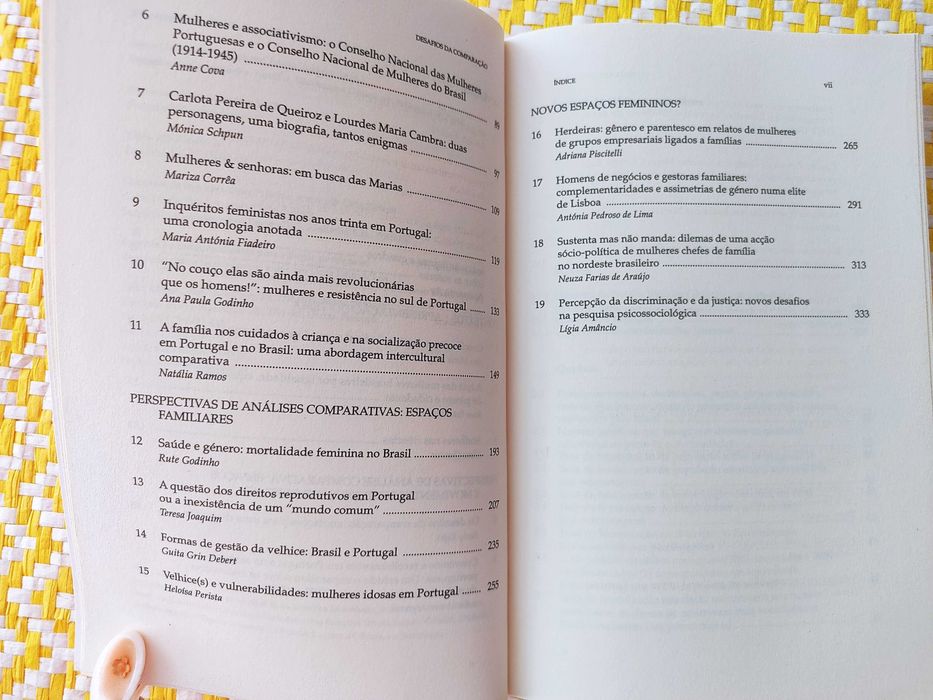 DESAFIOS DA COMPARAÇÃO,
Famílias,Mulheres  Gén em Portugal e no Brasil