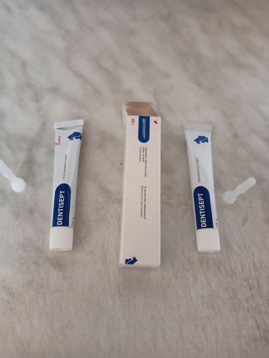 Дентісепт - стоматологічний гель для котиків