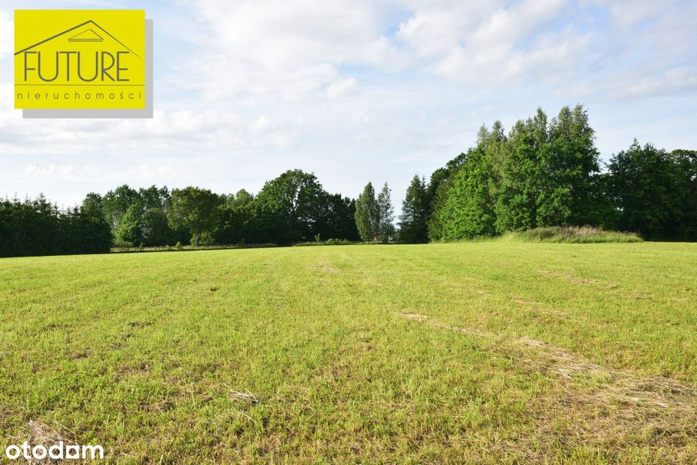 Pięknie położona działka 7483 m2 w Księżnie