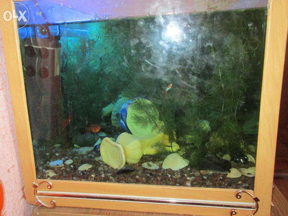 спец песок для аквариума