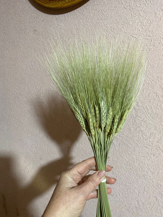 Колоски пшениця Жизель, льон