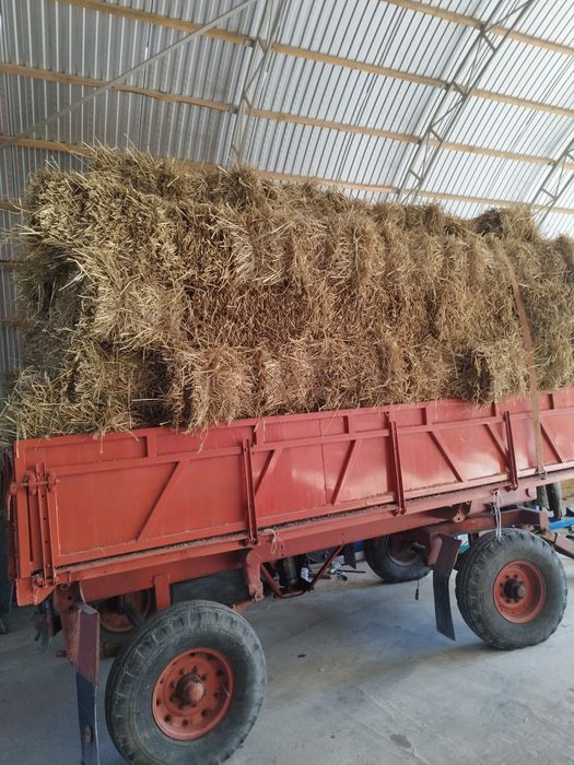 Тюки сіно солома 2025