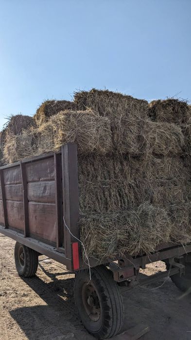 Сіно в тюках 90*60*35см