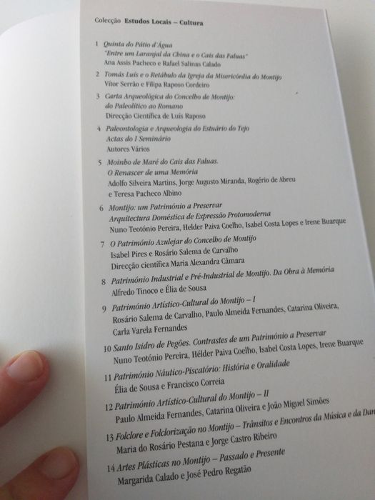 Artes Plásticas no Montijo - Passado e Presente