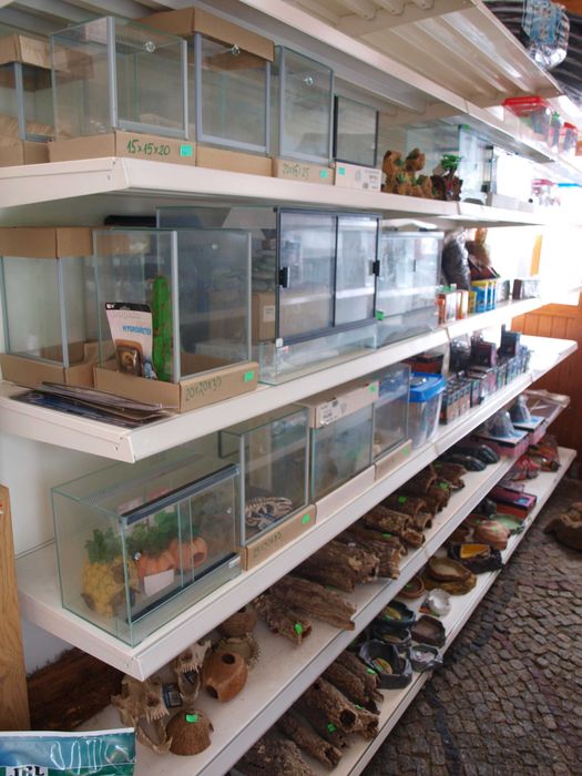 Terrarium szkło 30x20x25