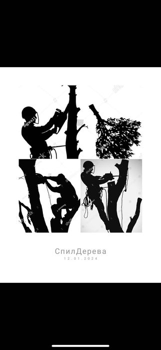 РІЗКА ДЕРЕВ швидко та якісно