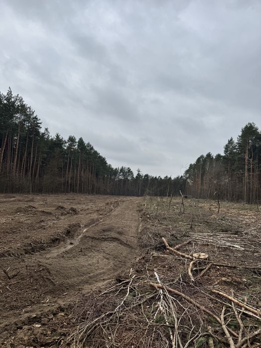 Mulczowanie, karczowanie, czyszczenie działek, wycinka drzew, mulczer,