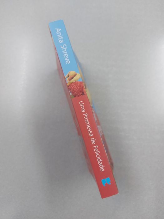 Livro | Uma promessa de felicidade | Anita Shreve | NOVO