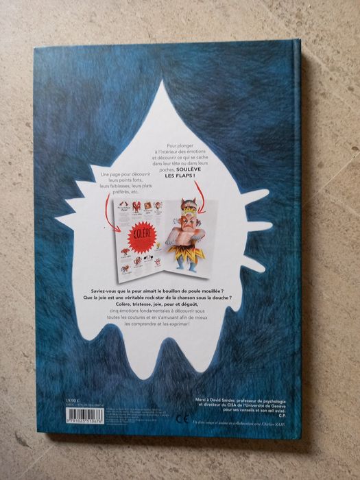 À l'intérieur de mes émotions, Clotilde Perrin