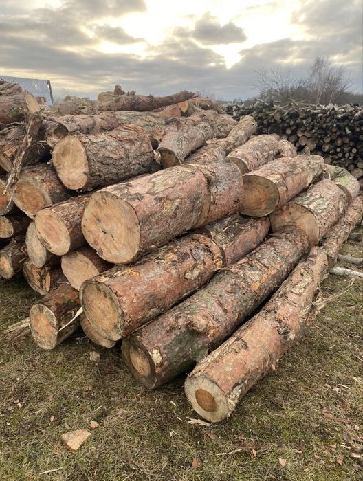 Drewno grube (sprzedawane w metrach sześciennych )