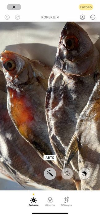 Тарань (густера)