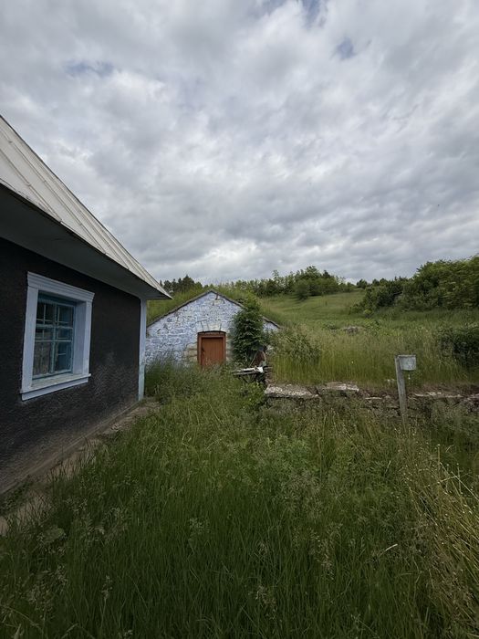 Продам будинок с. Кривчик