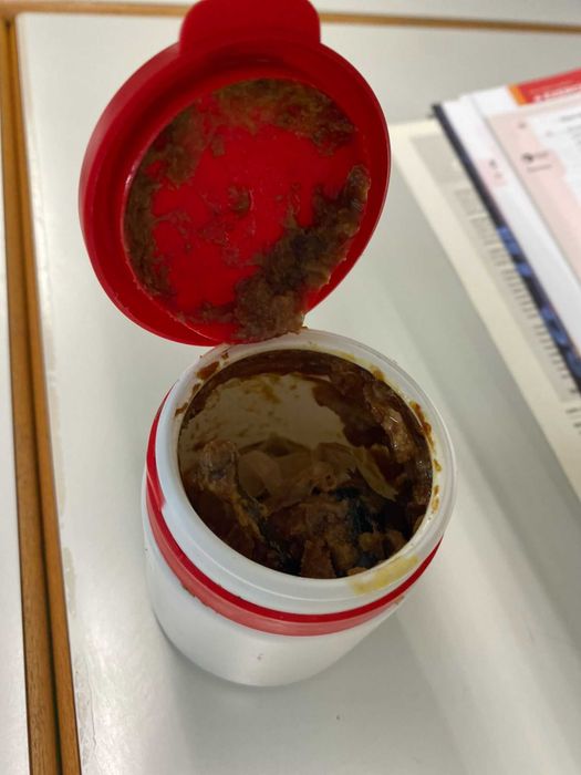 Obra de Arte Biológica