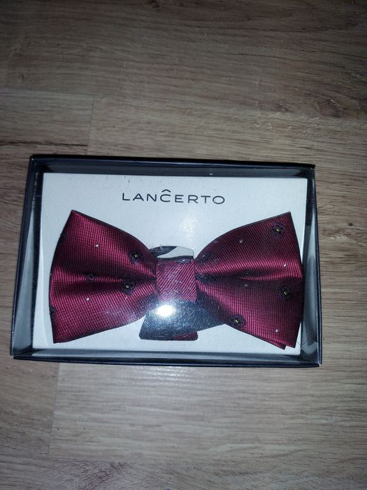 Bordowa mucha Lancerto