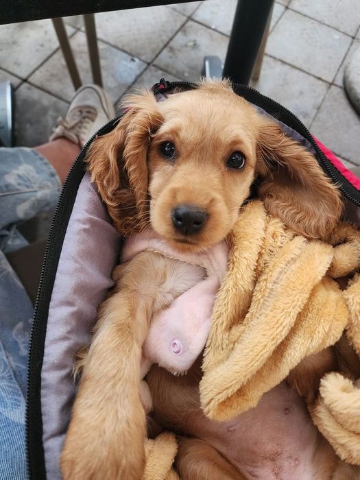 Обери того, хто буде любити тебе щодня