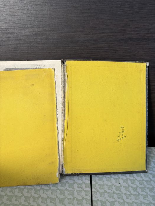 Tarpan 233 Budowa działanie eksploatacja Skwarek