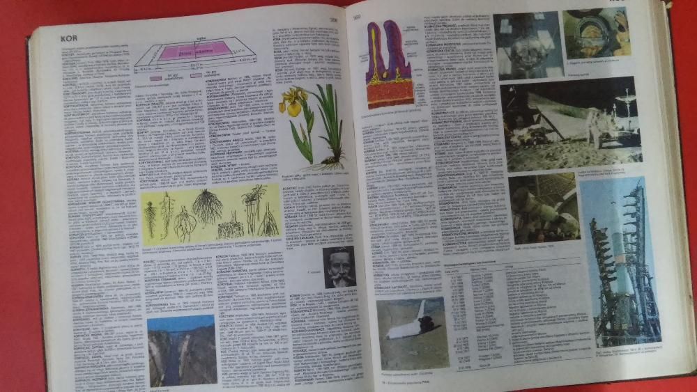 Encyklopedia Popularna PWN