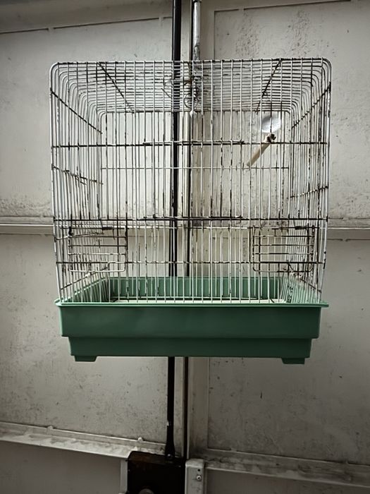 Gaiola media para passaros