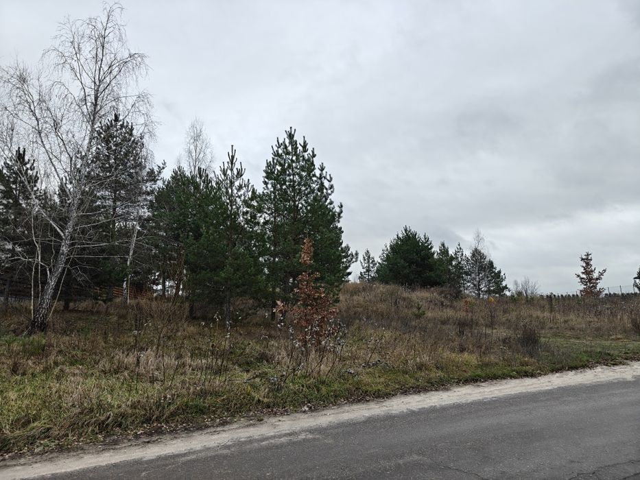 Земельна ділянка по вулиці Терещенківській в селі Горбовичі