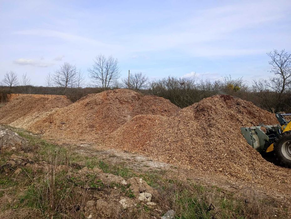 Zrębki  opałowe /ogrodowe z drzew liściastych.