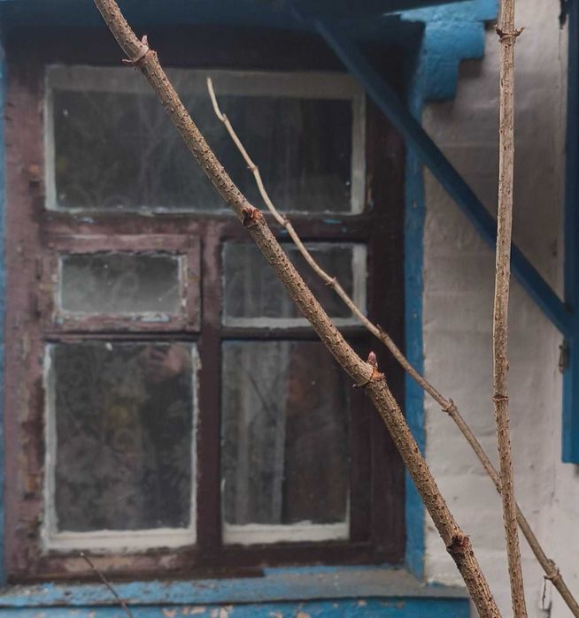 Продам будинок у місті Лубни