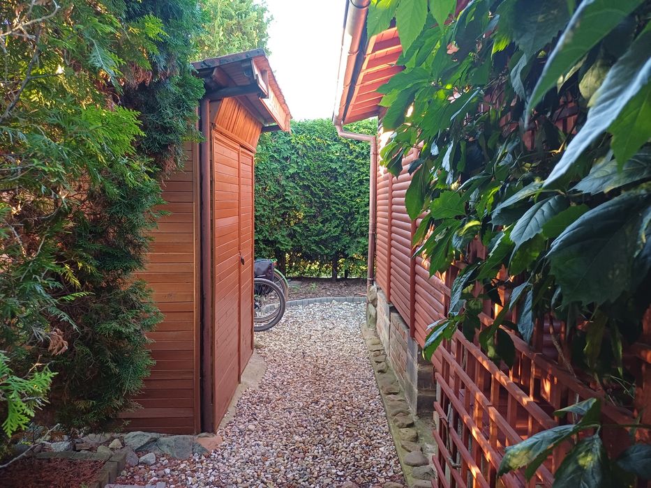 Sprzedaż działka ROD Wudzyn Międzylesie-Zachód