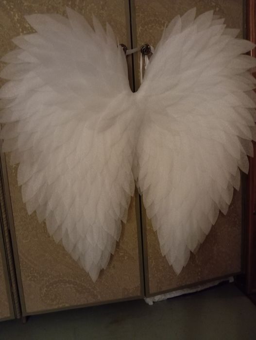Дитячі крила ангела