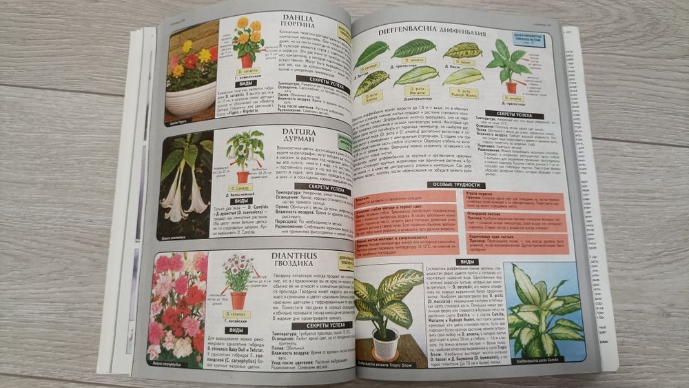 Продам книгу Всё о комнатных растениях