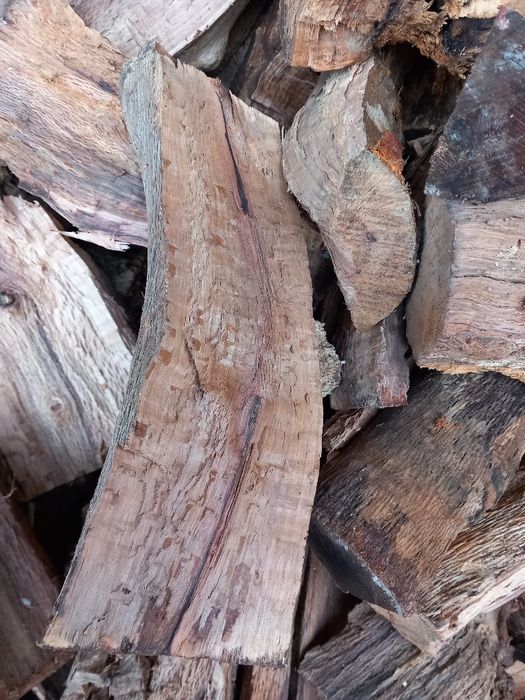 Vende-se lenha de sobro