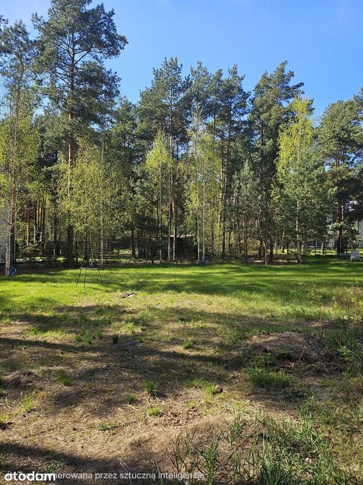 Józefów ul. Polna |919 m²|działka w otoczeniu zieleni i nowej zabudowy - View 4