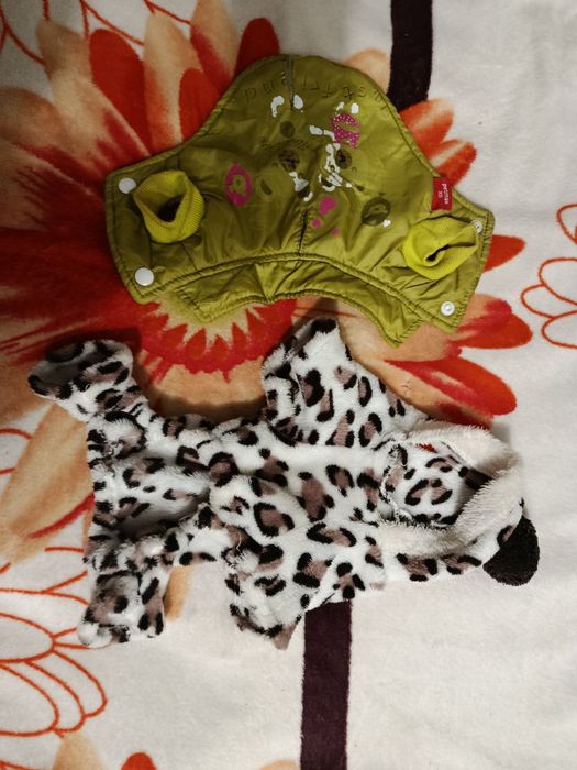 Одяг для маленьких песиків