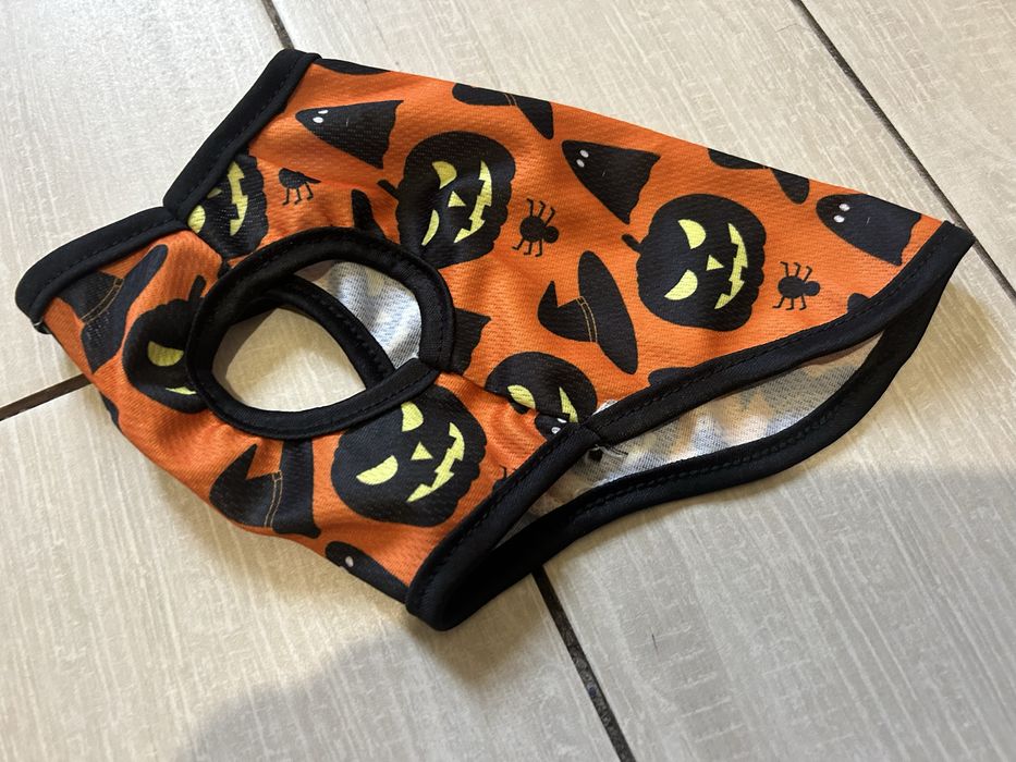 Вещи для вашего питомца