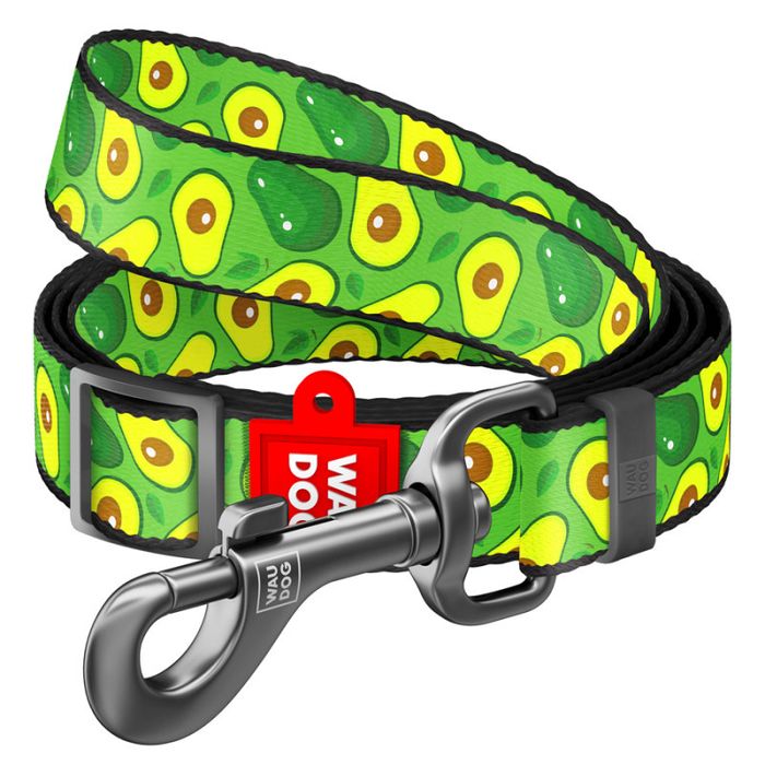 шлея с поводком размер S