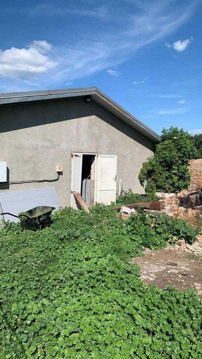 Продаж ферми (свиноферма) 200 кв.м. в селі Пустовойтове, 10 км. до міста Глобине, Кременчуцький район - View 4