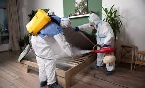 Знищення тарганів блох клопів мишей щурів комарів. Видалення плісняви.