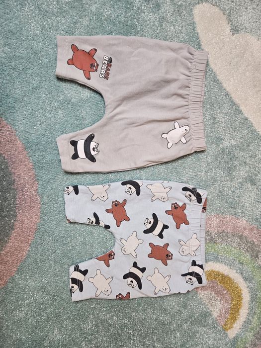 Spodenki leginsy misie 56