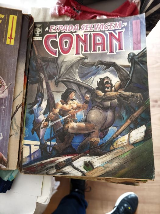 Livros espada selvagem de conam