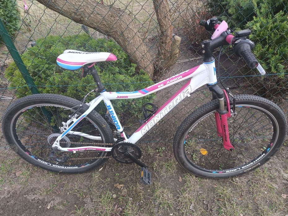 Rower górski  koła 26