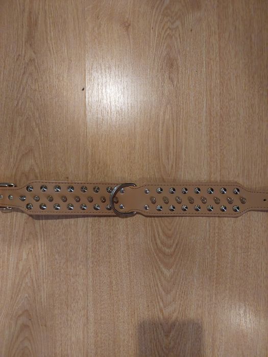 coleira creme com tachas